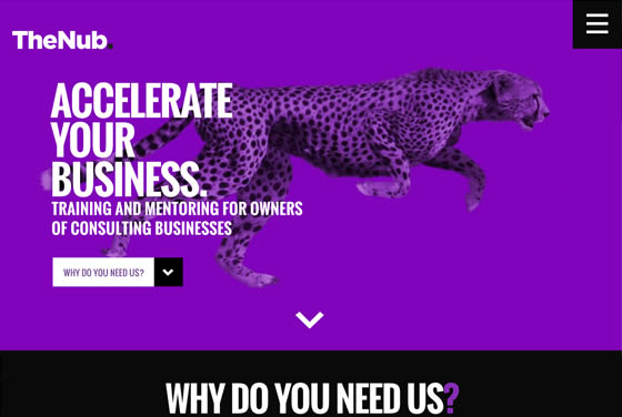 Screenshot of the TheNub website