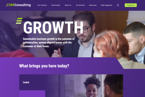 Screenshot of the SBR Consulting website