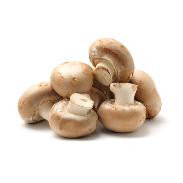 Mushroom
