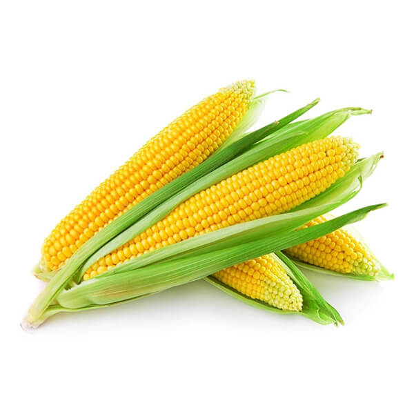 Corn