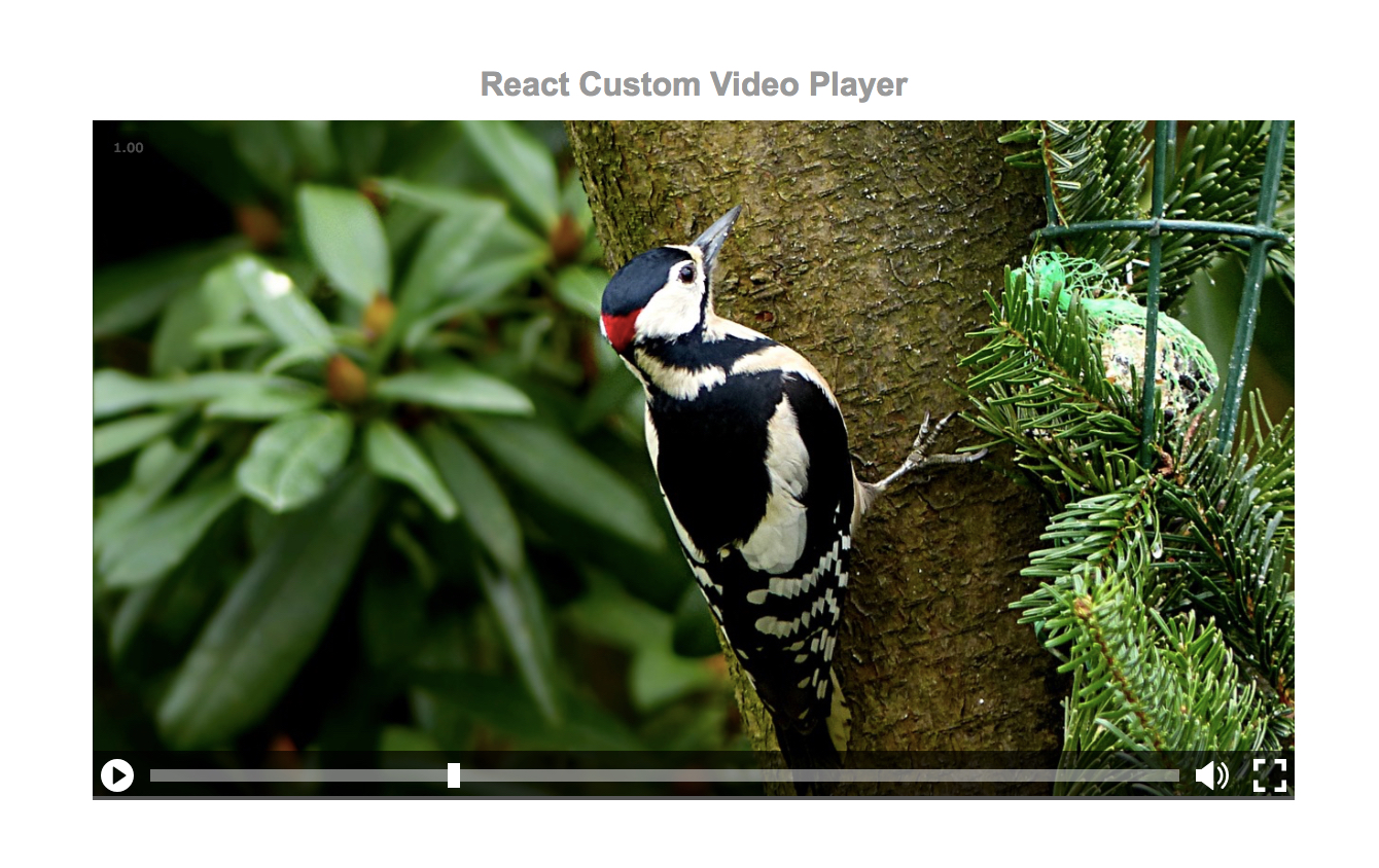 GitHub - sivadass/react-custom-video-player: React Custom Video Player