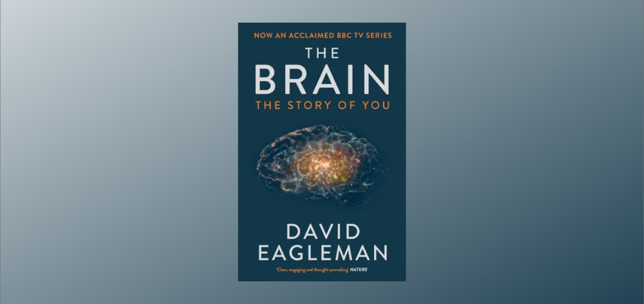 The Brain: The Story of You