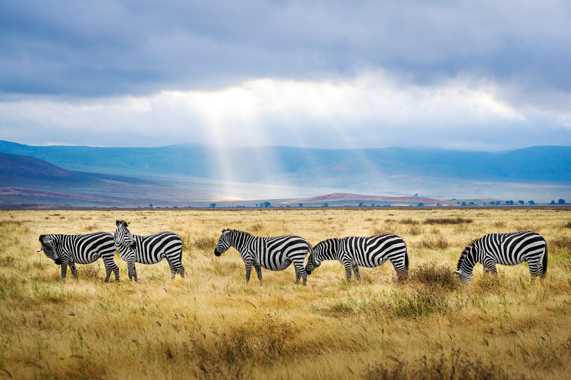 Capturing the Wild Heart of Tanzania, Kenya & Botswana