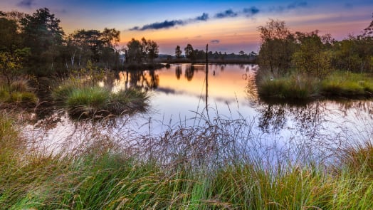 Lüneburger Heide Golden Tour