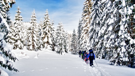 Schneeschuhtour Hohgant 