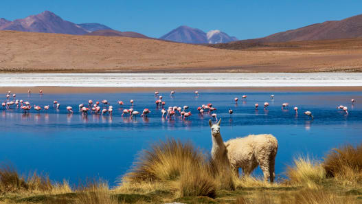 Boliviens Naturwunder