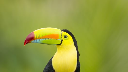 Costa Rica & Nicaragua