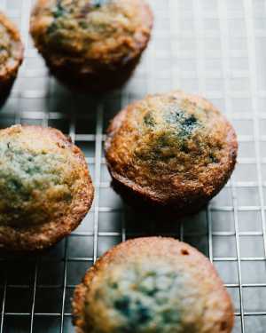 Blueberry Muffins