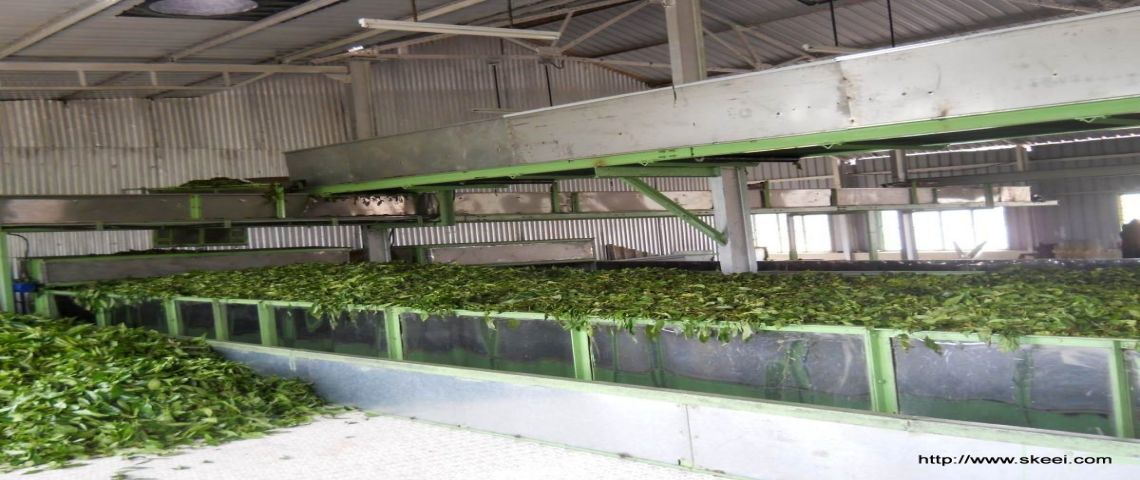 Auto Withering Trough
