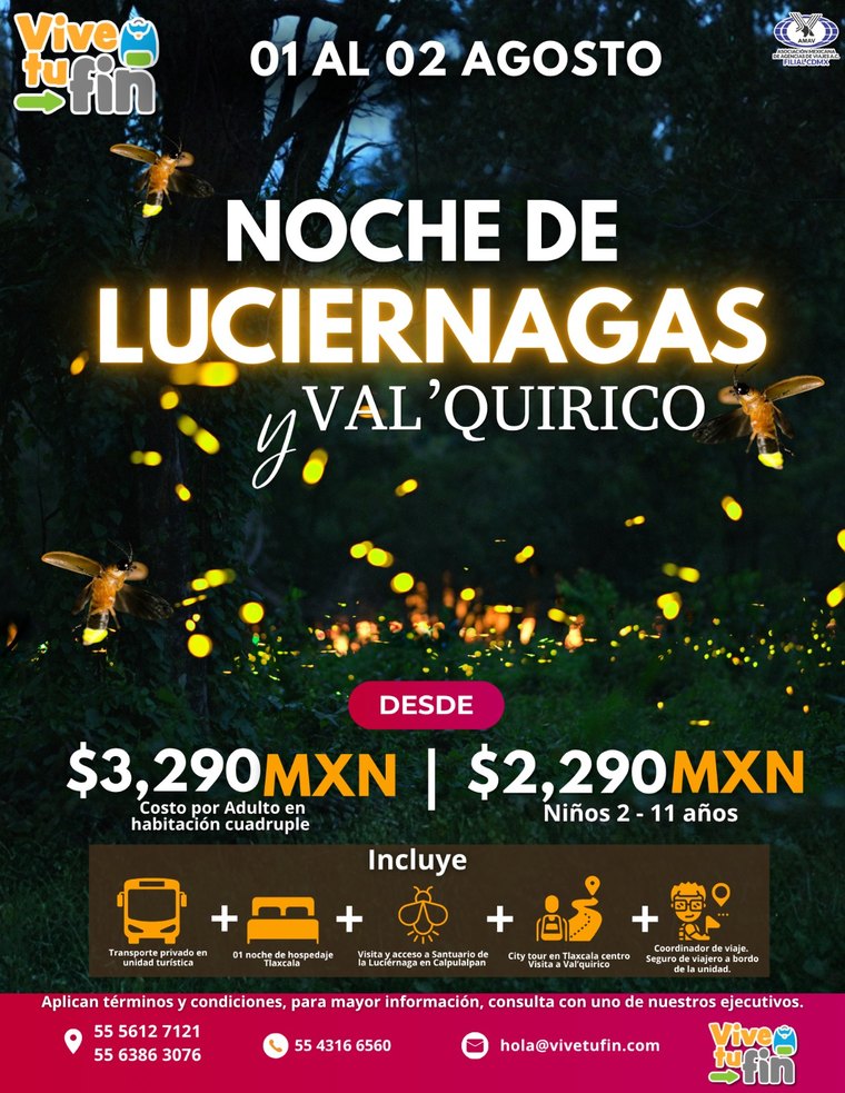 Noche de Luciérnagas · Valquirico