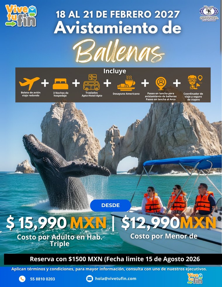 Avistamiento de Ballenas