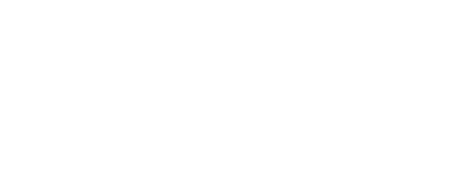IMM Logo