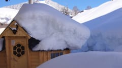 Lgenheter Alpin Chalet Eder Steiner