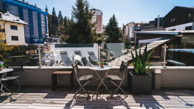 Hotel Serendipity
