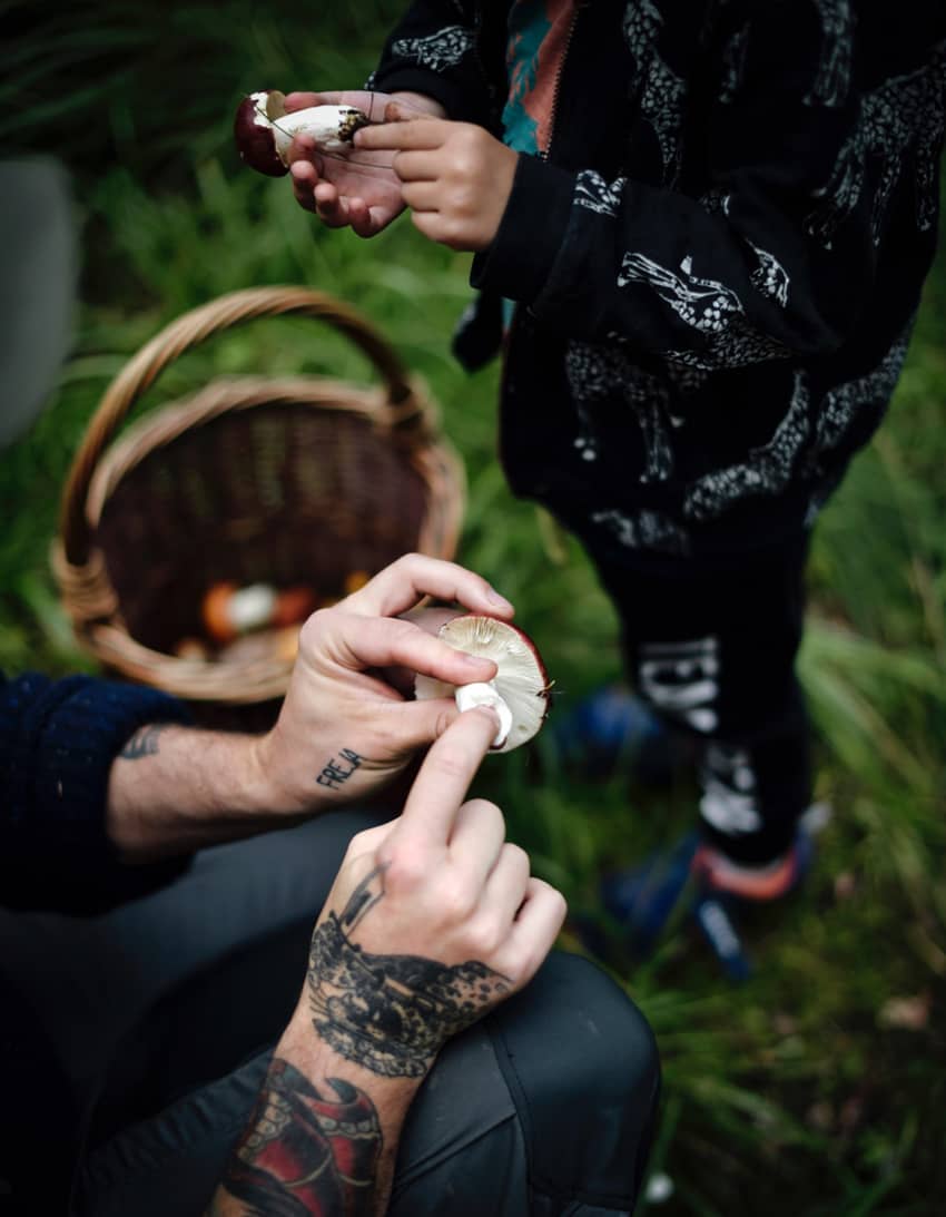 Mushroom course with a focus on edible mushrooms.