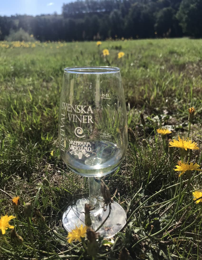 Swedish wine top