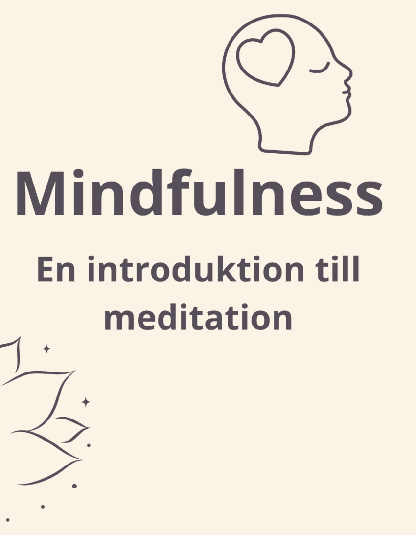 Mindfulness workshop - introduction to meditation