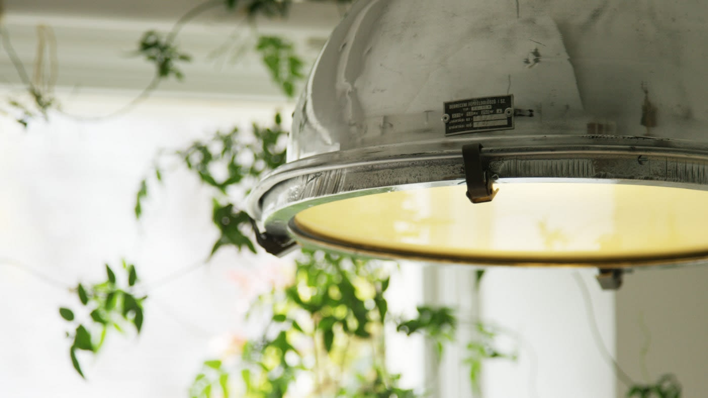 Our journey to becoming B Corp certified