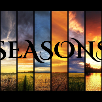 David Starfire & Stephan Jacobs - Seasons feat. Shri (IICEBERG Remix) Artwork