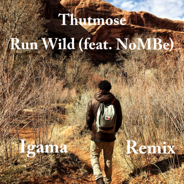 Thutmose - Run Wild feat. NoMBe (Igama Remix) Artwork