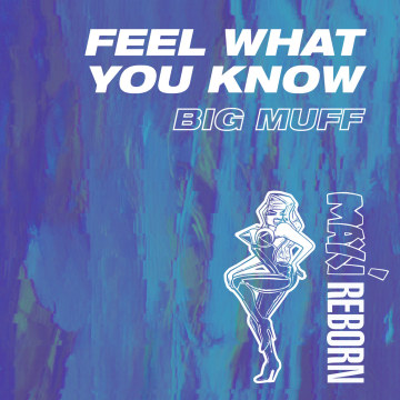 Big Muff - Feel What You Know Artwork