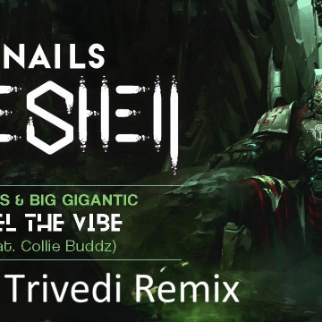 Snails & Big Gigantic - Feel the Vibe Feat. Collie Buddz (laksh sharma Remix) Artwork