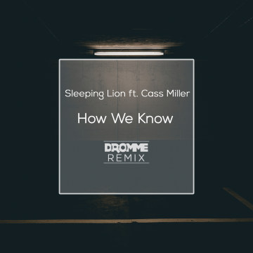Sleeping Lion - How We Know (Dromme Remix) Artwork