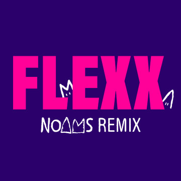 Stylust - FLEXX (Noams Remix) Artwork