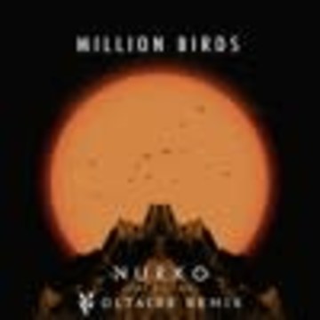 Voltaire - Nurko ft. Elle Vee - Million Birds (Voltaire Remix) Artwork