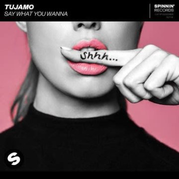 Mount Evrst - Tujamo - Say What You Wanna (Mount Evrst Remix) Artwork