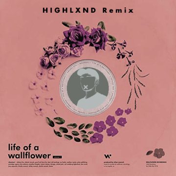 Whethan - Top Shelf (feat. Bipolar Sunshine) (HIGHLXND Remix) Artwork