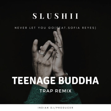Slushii - Never Let You Go (feat. Sofia Reyes) (Teenage Buddha Remix) Artwork