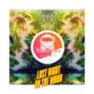 lucas theory music - last night on the moon Artwork