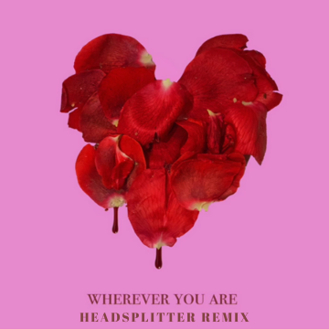 adam&steve - Wherever You Are feat. (Maty Noyes) (Headsplitter Remix) Artwork