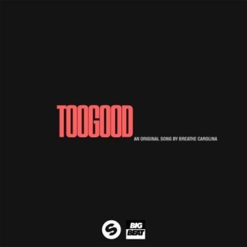 Breathe Carolina - Too Good (FEinmyELS Remix) Artwork