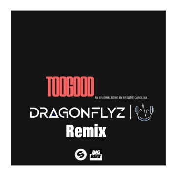 Breathe Carolina - Too Good (DraGonflyZ Remix) Artwork