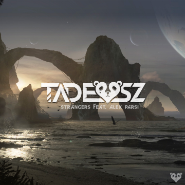 TADEUSZ - Strangers (feat. Alex Parsi) Artwork