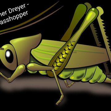 Werner Dreyer - Grasshopper Artwork