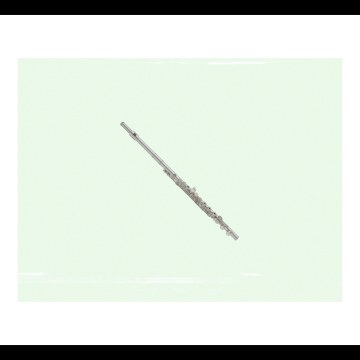 Zann - Flute Artwork