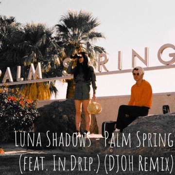 Luna Shadows - Palm Springs (feat. In.Drip.) (DJOH Remix) Artwork
