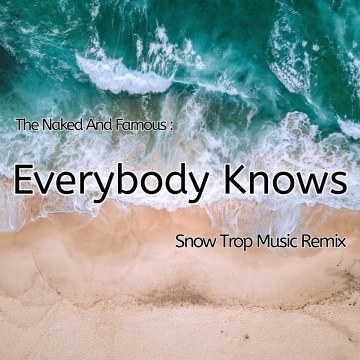 The Naked And Famous - Everybody Knows (Snow Trop Music Remix) Artwork