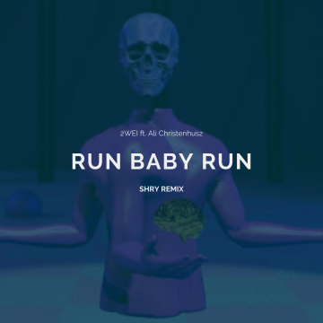 2WEI - Run Baby Run (feat. ALI CHRISTENHUSZ) (Shry Remix) Artwork