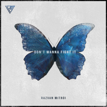 Razvan Mitroi - Don't Wanna Fight It Artwork