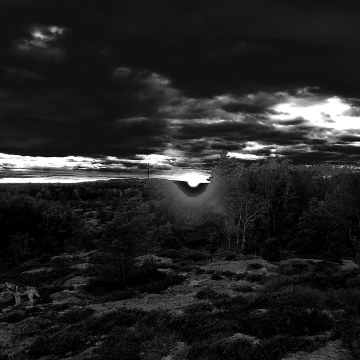 CORYLUS - Tension Artwork