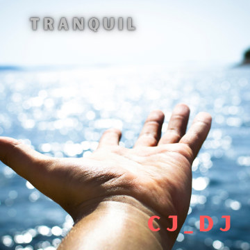 CJDJ - Tranquil Artwork