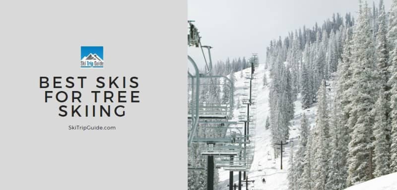 best skis for tree skiing
