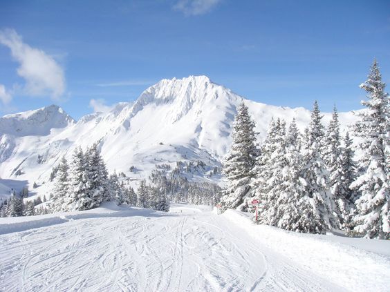 SW SnowRep: the SkiWeather.eu representative network for ski resorts — Alpine snow science article