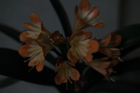 日常 photograph from 2021.