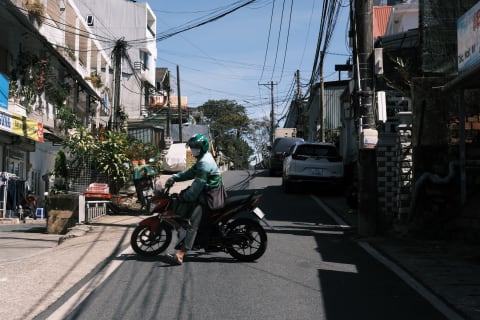 越南大叻 photograph from 2026.