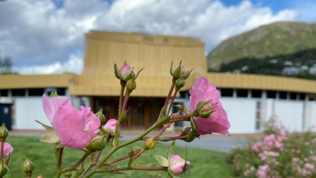Fyllingsdalen kirke roser levende